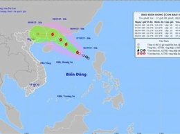Áp thấp nhiệt đới đã mạnh lên thành bão số 7