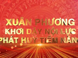 Phóng sự