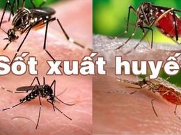 TĂNG CƯỜNG CÔNG TÁC PHÒNG CHỐNG SỐT XUẤT HUYẾT TRÊN ĐỊA BÀN PHƯỜNG YÊN NGHĨA