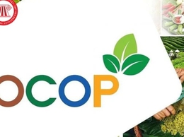 DANH SÁCH CÁC SẢN PHẨM OCOP TRÊN ĐỊA BÀN XÃ TRUNG GIÃ NĂM 2025