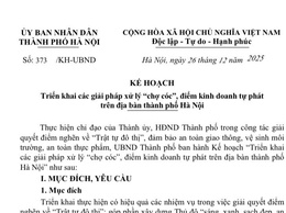 HÀ NỘI TRIỂN KHAI LỘ TRÌNH XỬ LÝ 