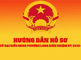 Hồ sơ ứng cử đại biểu HĐND
