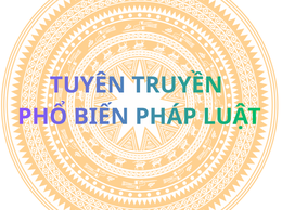 LUẬT SỬA ĐỔI, BỔ SUNG MỘT SỐ ĐIỀU CỦA LUẬT BẦU CỬ ĐẠI BIỂU QUỐC HỘI VÀ ĐẠI BIỂU HỘI ĐỒNG NHÂN DÂN
