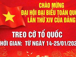 TREO CỜ TỔ QUỐC CHÀO MỪNG ĐẠI HỘI ĐẠI BIỂU TOÀN QUỐC LẦN THỨ XIV CỦA ĐẢNG