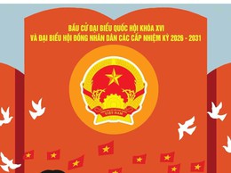 Quyết định thành lập các Ban bầu cử đại biểu HĐND phường Cửa Nam khóa II nhiệm kỳ 2026-2031 tại đơn vị bầu cử  đại biểu HĐND phường 