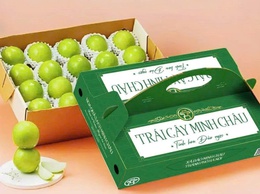 Táo Minh Châu – Tinh hoa Đảo Ngọc: từng bước đặt nền móng OCOP cho sản phẩm nông sản của địa phương