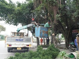 Nỗ lực tháo gỡ điểm nghẽn trật tự đô thị, xây dựng xã Dương Hoà kỷ cương, văn minh, xanh - sạch - đẹp