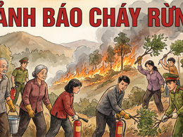 Nguy cơ cháy rừng tại Nội Bài: Cảnh báo cấp V - Mức cực kỳ nguy hiểm