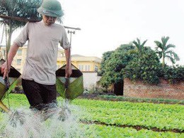 Đảm bảo an toàn thực phẩm trong lĩnh vực nông nghiệp: Trách nhiệm từ đồng ruộng đến bàn ăn