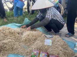 Trung tâm dịch vụ tổng hợp xã Đại Xuyên
Hướng dẫn các biện pháp phòng trừ chuột vụ xuân 2026