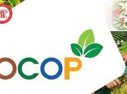 Danh sách các cơ sở trưng bày và bán sản phẩm OCOP trên địa bàn phường Đống Đa 