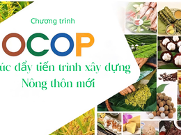CÔNG KHAI THÔNG TIN VÀ QUẢNG BÁ CÁC SẢN PHẨM OCOP TRÊN ĐỊA BÀN XÃ BẤT BẠT GIAI ĐOẠN 2026 - 2030