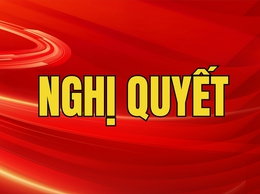 Nghị quyết 29/2025/NQ-HĐND: Về việc quy định một số nội dung về thử nghiệm có kiểm soát tại thành phố Hà Nội