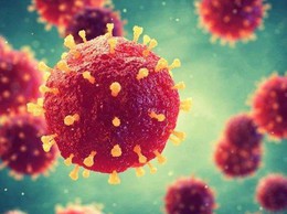 THÔNG TIN VỀ DỊCH BỆNH DO VI RÚT NIPAH VÀ KHUYẾN CÁO PHÒNG CHỐNG TẠI VIỆT NAM