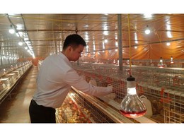 Sản xuất nông nghiệp sạch, liên kết bền vững tạo nên giá trị trứng gà Phú Quý 