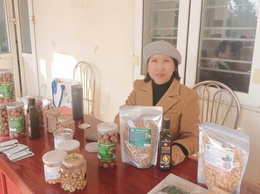 Bán nhà để khởi nghiệp với  hạt Sacha Inchi