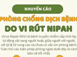 Hướng dẫn phòng, chống bệnh do virus Nipah