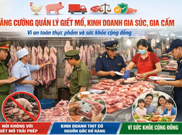 PHƯỜNG YÊN NGHĨA TĂNG CƯỜNG QUẢN LÝ GIẾT MỔ, VẬN CHUYỂN, KINH DOANH ĐỘNG VẬT TRONG DỊP LỄ TẾT