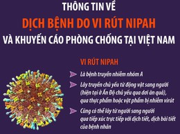 Xã Thượng Phúc: Chủ động phòng, chống bệnh do vi rút Nipah để bảo vệ sức khỏe cộng đồng