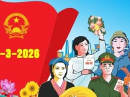 Bầu cử đại biểu Quốc hội, HĐND các cấp: Những phiếu bầu cử nào là phiếu bầu cử hợp lệ?