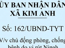 UBND xã Kim Anh: Chủ động phòng, chống bệnh do vi rút Nipah.