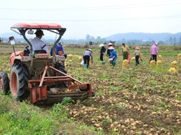 An toàn thực phẩm - một trong những nhiệm vụ trọng tâm năm 2026