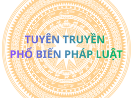 Tuyên truyền 02 Nghị định của Chính phủ; 18 Nghị quyết đã được thông qua tại kỳ họp 27, 28 của HĐND thành phố và 04 Quyết định của UBND thành phố triển khai thi hành Luật Thủ đô