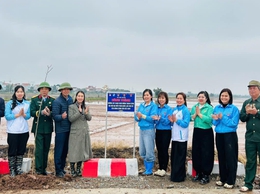 Mặt trận tổ quốc và các đoàn thể xã Phú Xuyên ra quân trồng tuyến đường cây xanh