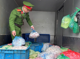 Tây Hồ: triệt phá vụ vận chuyển 350kg nội tạng động vật không rõ nguồn gốc