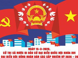 Ngày 15/03/2026 - Cử tri Hà Nội tích cực đi bầu cử