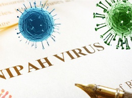 Virus Nipah - cơ chế gây bệnh và các biện pháp phòng ngừa
