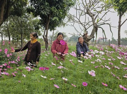 ỨNG THIÊN RỰC RỠ SẮC XUÂN BÍNH NGỌ 2026 NIỀM TIN VÀ KHÁT VỌNG TRONG KỶ NGUYÊN MỚI