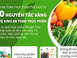 An toàn thực phẩm dịp Tết Nguyên đán Bính Ngọ 2026