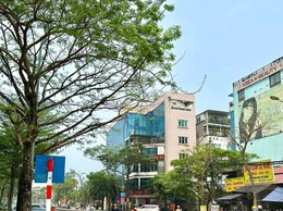 Phân luồng giao thông phục vụ thi công khẩn cấp tuyến cống dọc đường Lạc Long Quân - Hoàng Quốc Việt