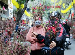 Phường Hà Đông tổ chức 09 điểm chợ hoa xuân  phục vụ Tết Nguyên đán Bính Ngọ năm 2026