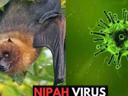 Tăng cường dinh dưỡng, đảm bảo an toàn thực phẩm để phòng, chống dịch bệnh do virus Nipah