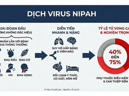 Tăng cường phòng, chống bệnh do vi rút Nipah trên địa bàn xã Chuyên Mỹ
