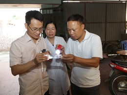 Tình hình dịch bệnh trên địa bàn thành phố Hà Nội từ ngày 23/1 đến 30/1