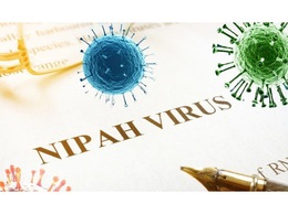 Tăng cường giám sát phòng, chống dịch bệnh do vi rút Nipah
