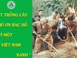 Thông báo về việc mời đơn vị tham gia cung cấp giá cây xanh và dịch vụ liên quan đến phục vụ nhiệm vụ 