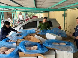 Tây Hồ quyết liệt bảo đảm an toàn thực phẩm dịp Tết