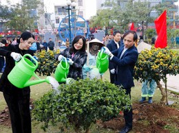 MÙA XUÂN LÀ TẾT TRỒNG CÂY