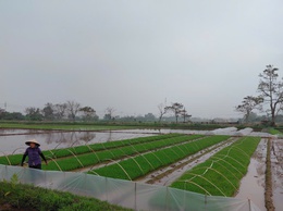 Nông dân xã Chương Dương chuyển không khí Xuân mới vào sản xuất