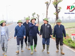 Các đồng chí lãnh đạo xã Kiều Phú kiểm tra tình hình sản xuất vụ Xuân năm 2026.