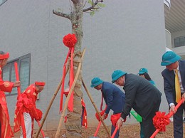 Phường Định Công hưởng ứng Tết trồng cây Xuân Bính Ngọ