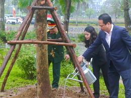 PHƯỜNG HAI BÀ TRƯNG PHÁT ĐỘNG TẾT TRỒNG CÂY