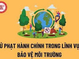 Video tuyên truyền pháp luật