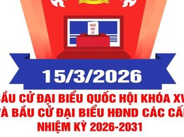 NGÀY 15/3/2026 - CỬ TRI HÀ NỘI TÍCH CỰC ĐI BẦU CỬ