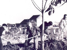 60 năm trước, Bác Hồ mở đầu Tết trồng cây