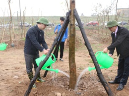 Xã Mê Linh tổ chức Lễ phát động Tết trồng cây 